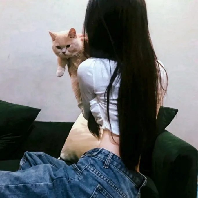 情摄大师